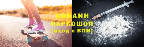 винт Пересвет