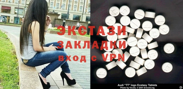 винт Пересвет