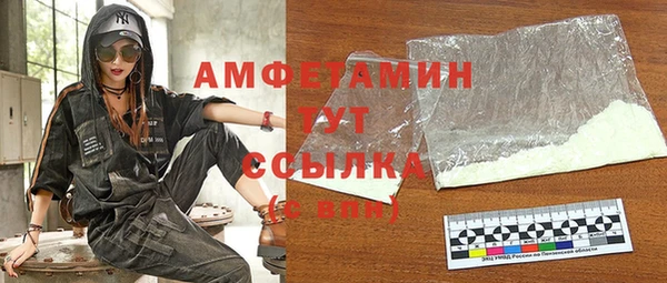 винт Пересвет
