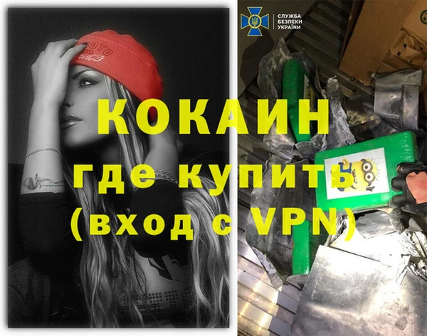 винт Пересвет