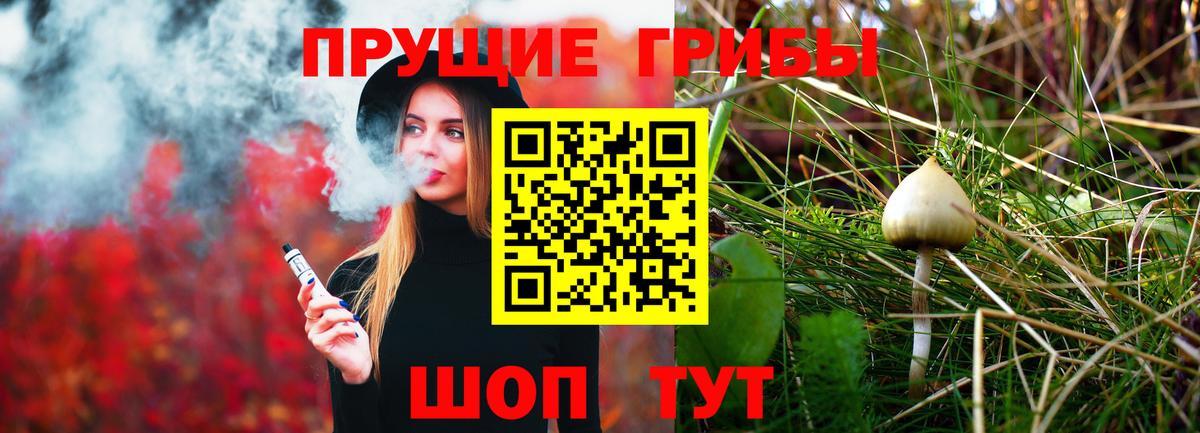 Галлюциногенные грибы Cubensis Асбест